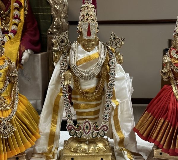 Flower Mound Hindu Temple2
